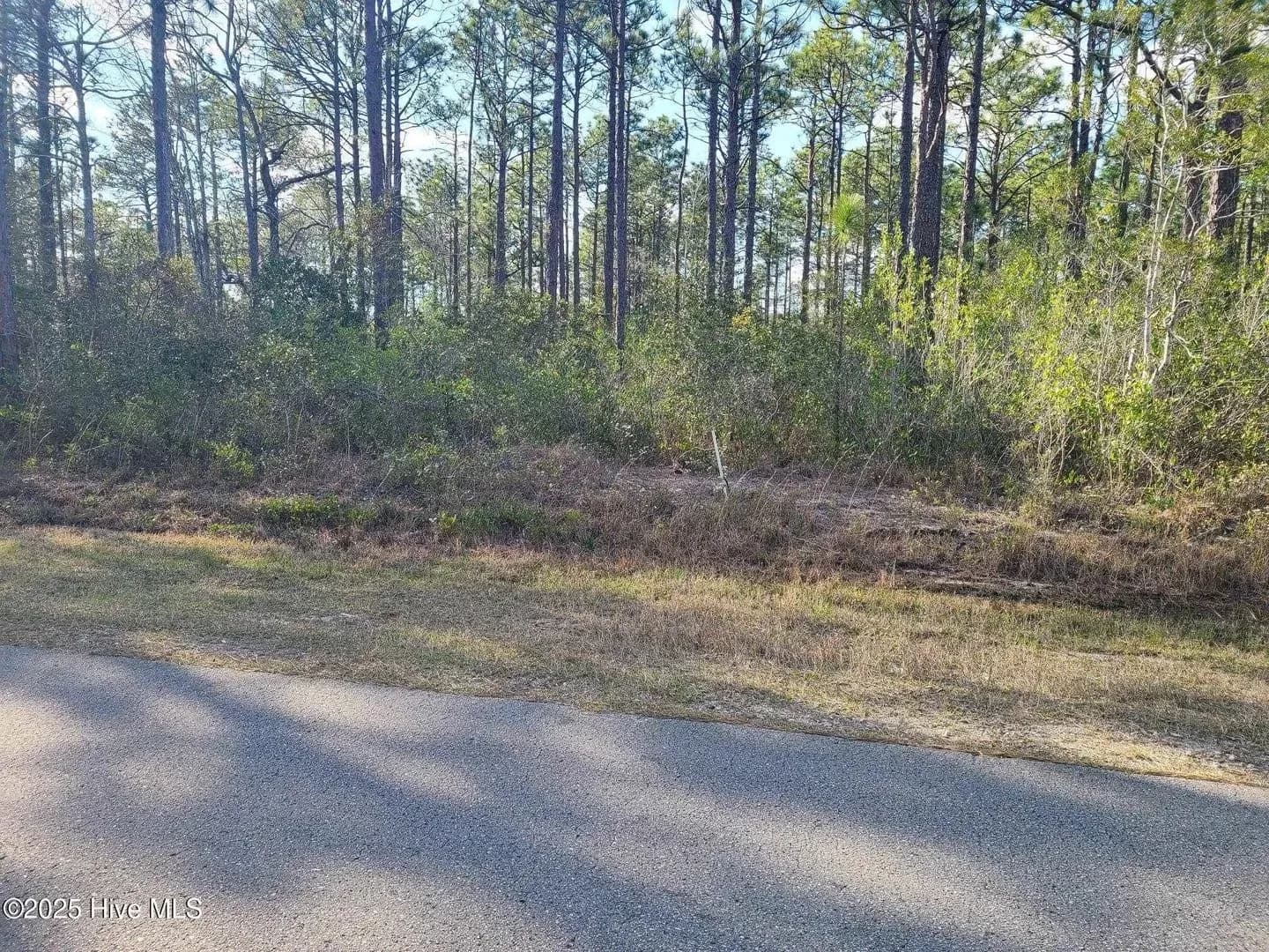 Spring Close Farm Vacant Land in Boiling Spring Lakes | Farms For Sale In USA