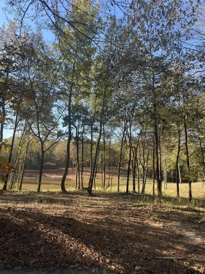 Farm Ranch Backdrop Lots & Land Other in Pittsburg | Farms For Sale In USA