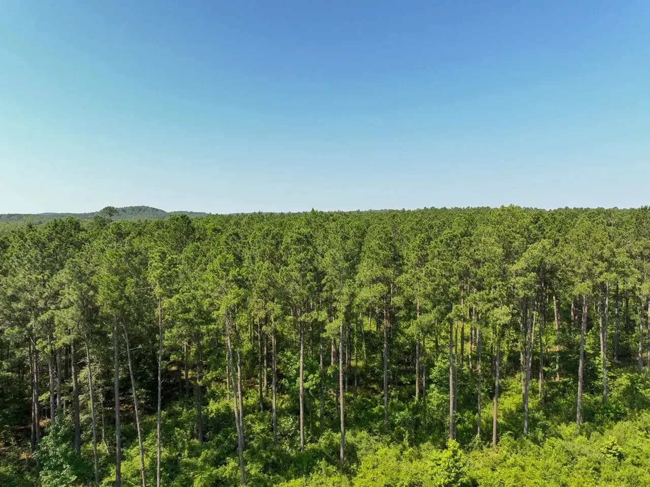 Interstate Side View 13 Acres | T 1 | Highway 87 | 1001 | Farms For Sale In USA