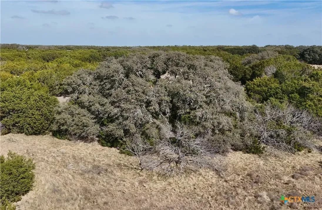 Farm Ranch Backdrop Vacant Land in Lampasas | Farms For Sale In USA