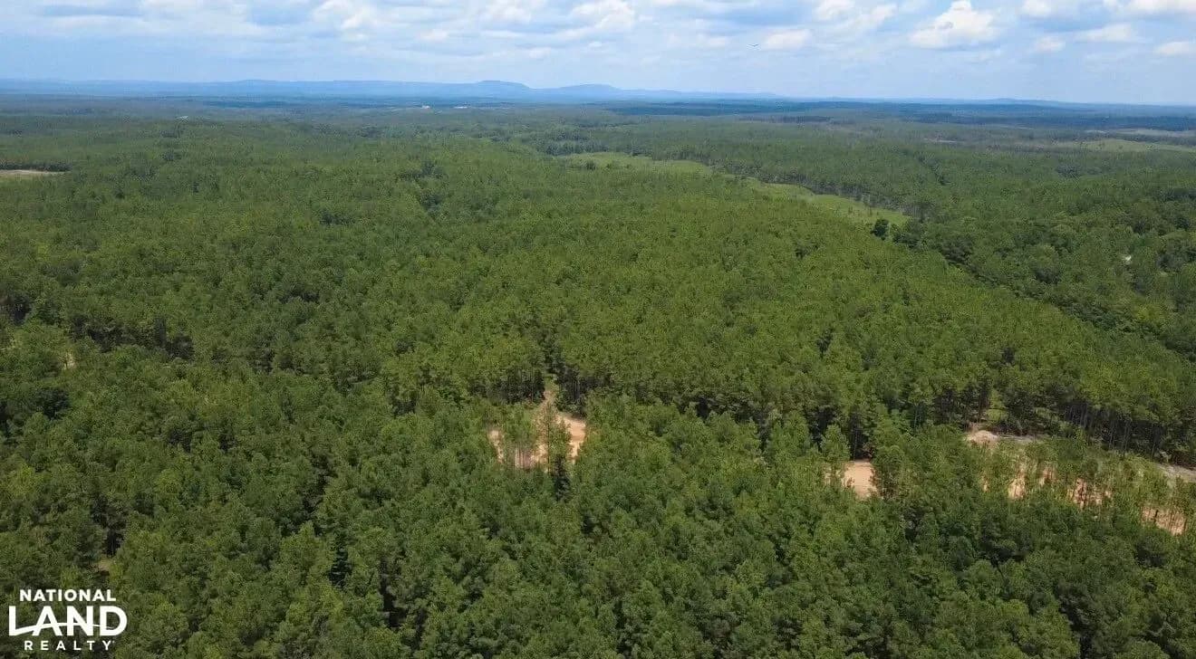 465 465 Acre Shiloh Farms Development | Farms For Sale In USA