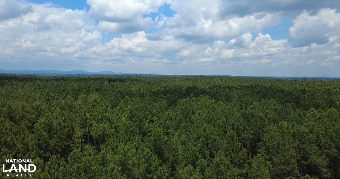 465 465 Acre Shiloh Farms Development | Farms For Sale In USA