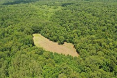 2,181 Acre Recreational/Timber Tract