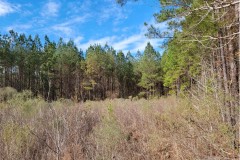 2.8 Acre Lot in Pike County in Summit, MS