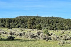 Hunting Ranch with Wooded Acreage in Northern New Mexico