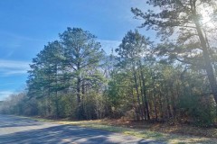 8.65 wooded acres in Pike County