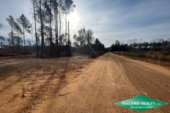 10.05 ac - Wooded Tract for Home Site & Hunting