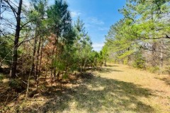 5.38 acres/ Forrest County / MS