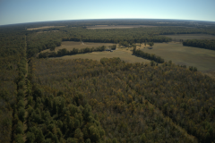 620 +/- Acres High Fence with Lodge for Sale Northeast LA
