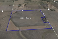 155 Acres of Prime Farmland in Olmsted County, MN