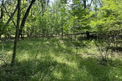 5 acres Recreational Property in Wirt NY Lot 3