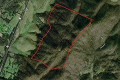 MARKET BASED PRICE IMPROVEMENT!!  337+ Deeded Acres of Hunting / Timber & Recreational Land For Sale in Albemarle County VA!