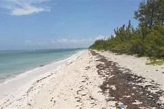 Abaco Lot With Beach Access