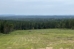 $$ REDUCED ! Timber/Hunting Tract