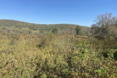5 acre Building Lot with Valley Views in Cuba NY West Cuba Road