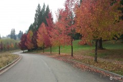 120 Sequoia Lane