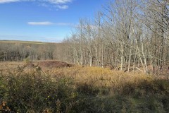 18 acres Hunting Land and Recreational Land with Creek in Arkport NY Neu Road