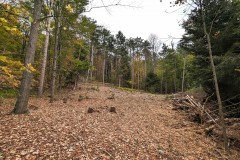 15 acres Timberland and Hunting Land in Hornby NY State Route 414