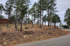 Lot 9, Block 11, Unit 2, Black Forest Subdivision Amended