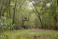 Hunting Land for Sale Just Outside of Baton Rouge