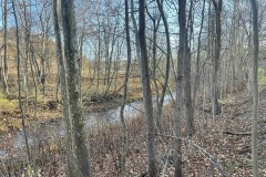 5 acre Wooded Lot on Keshequa Creek in Portage NY Clancy Road
