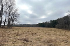 10 acre Building Lot and Recreational Land with Creek in Caneadea NY 6163 Shongo Valley Road