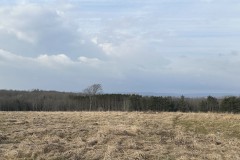 11 acre Building Lot and Recreational Land with Creek in Caneadea NY 6163 Shongo Valley Road