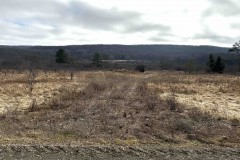 4.5 acres Recreational Land and Building Lot bordering Black Creek in Angelica NY Route 16