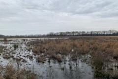 X Flyway 40+- adjoining Cache River NWR