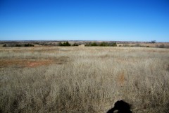 Pasture Land along I35