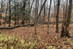 4 acres Building Lot with Views, Field, and Woods in Allen NY on Klein Road