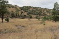 Grant County, NM Gila National Forest Inholding Tracts