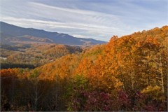 200+ ACRE Mountain- Development Bordering National Forest - Bank Asset Now Available For Purchase