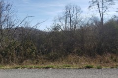 1.31 Acre Mostly Level Building Lot with Norris Lake Access