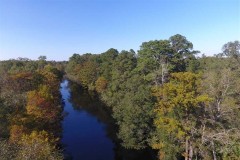 UNDER CONTRACT!!  744.83 Acres of Hunting and Timber Land For Sale in Bladen County NC!